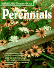 'Perennials' - Buy the book now